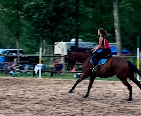 Saddle Up for Adventure: Michigan's Hopkins Creek Campground Equestrian & Trail Camp