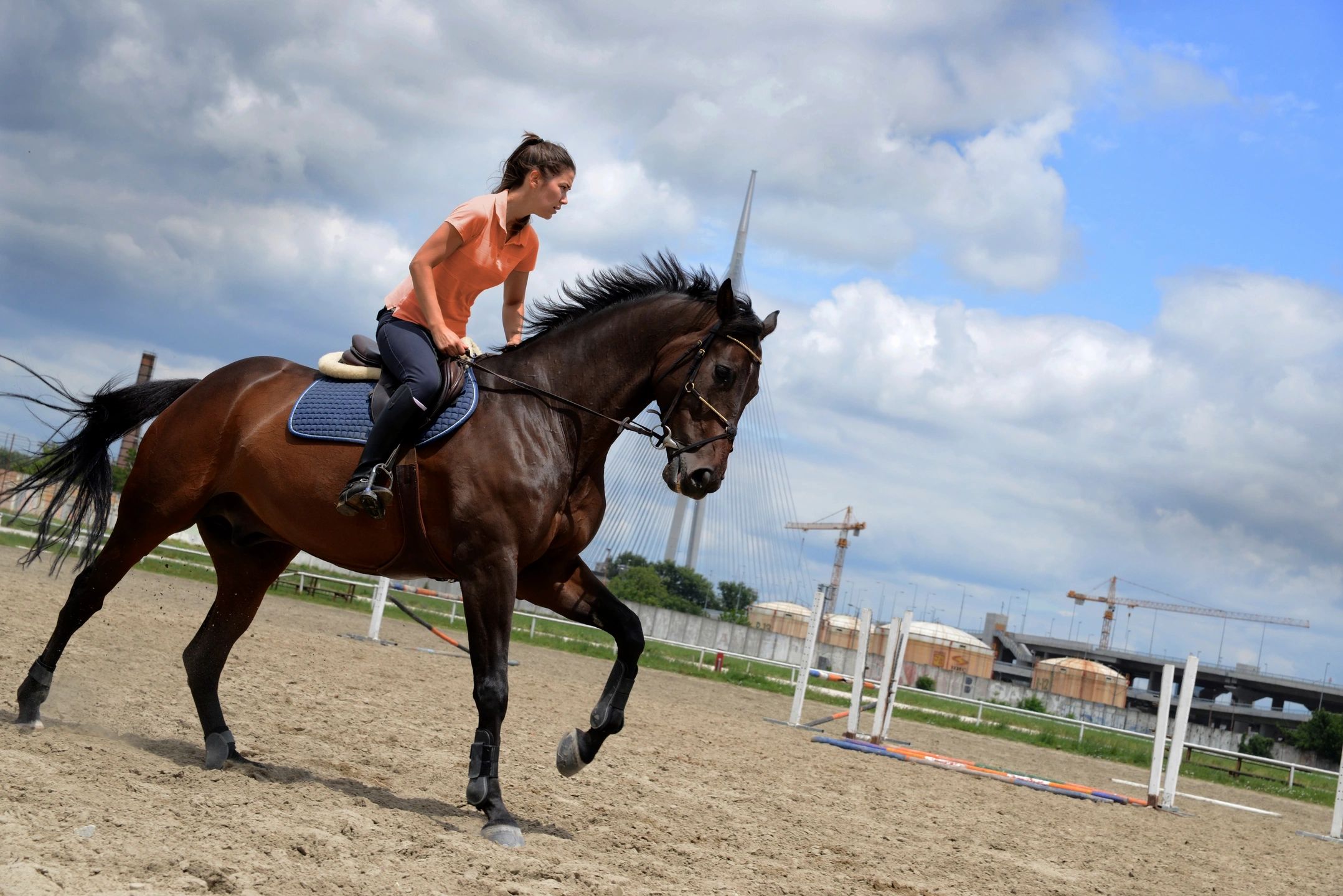 Exploring Equestrian Trails 