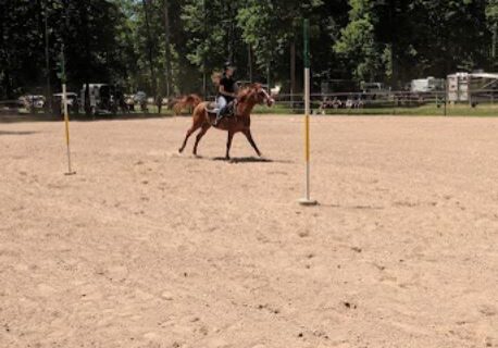 horse camp pic 7